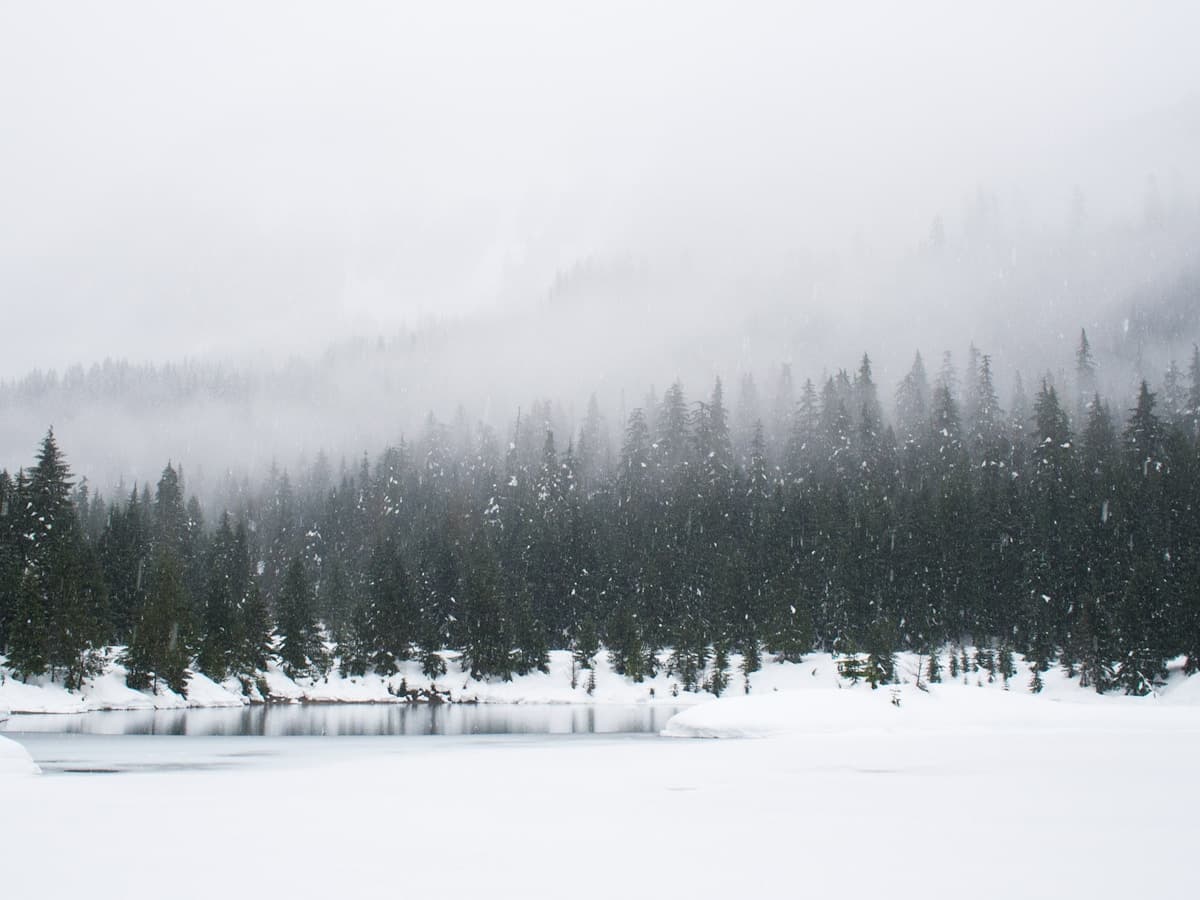Winter Fairytale